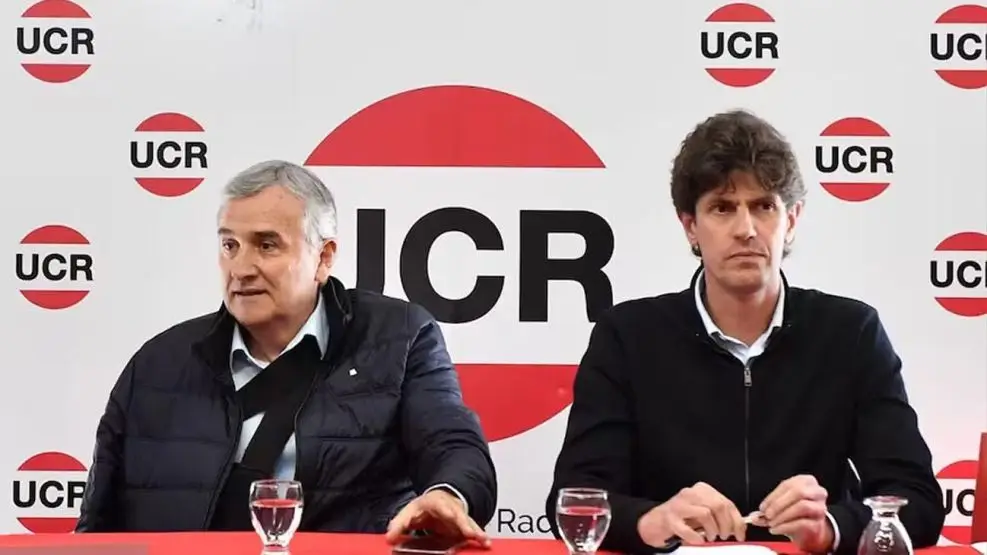 LA UCR DESPACHO A MILEI Y ¿VOTAN A MASSA?