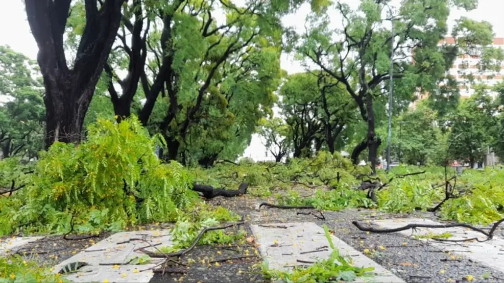 Mas de 374 mil personas en el AMBA siguen sin luz tras el temporal