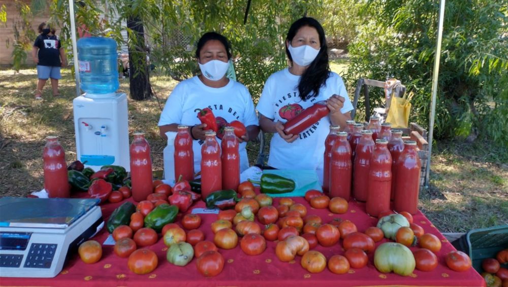 Tiene fecha y sede: La nueva Fiesta del Tomate Platense