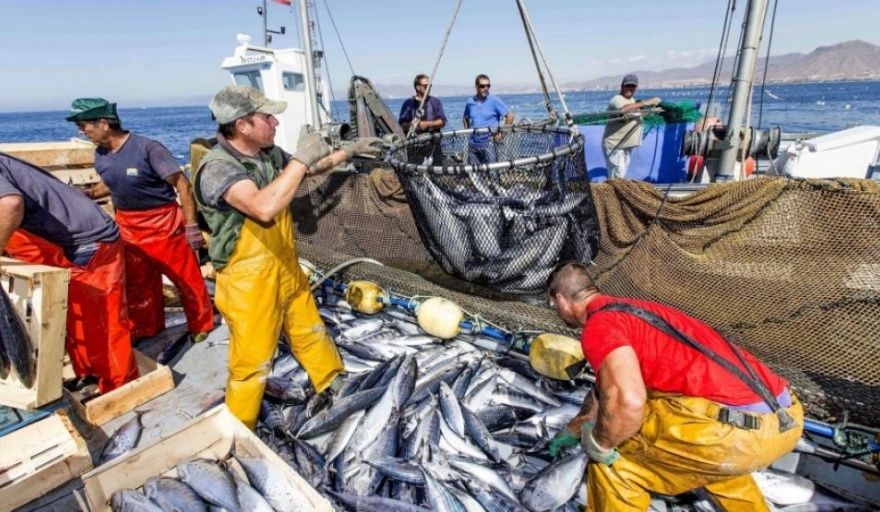 Pesqueros en pie de guerra contra el DNU de Milei