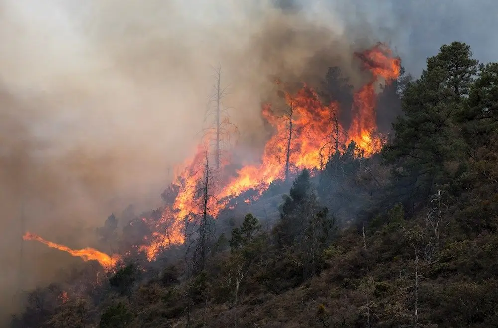 Fuera de control, 600 hectáreas quemadas en el Parque Nacional Los Alerces