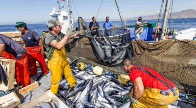 Pesqueros en pie de guerra contra el DNU de Milei