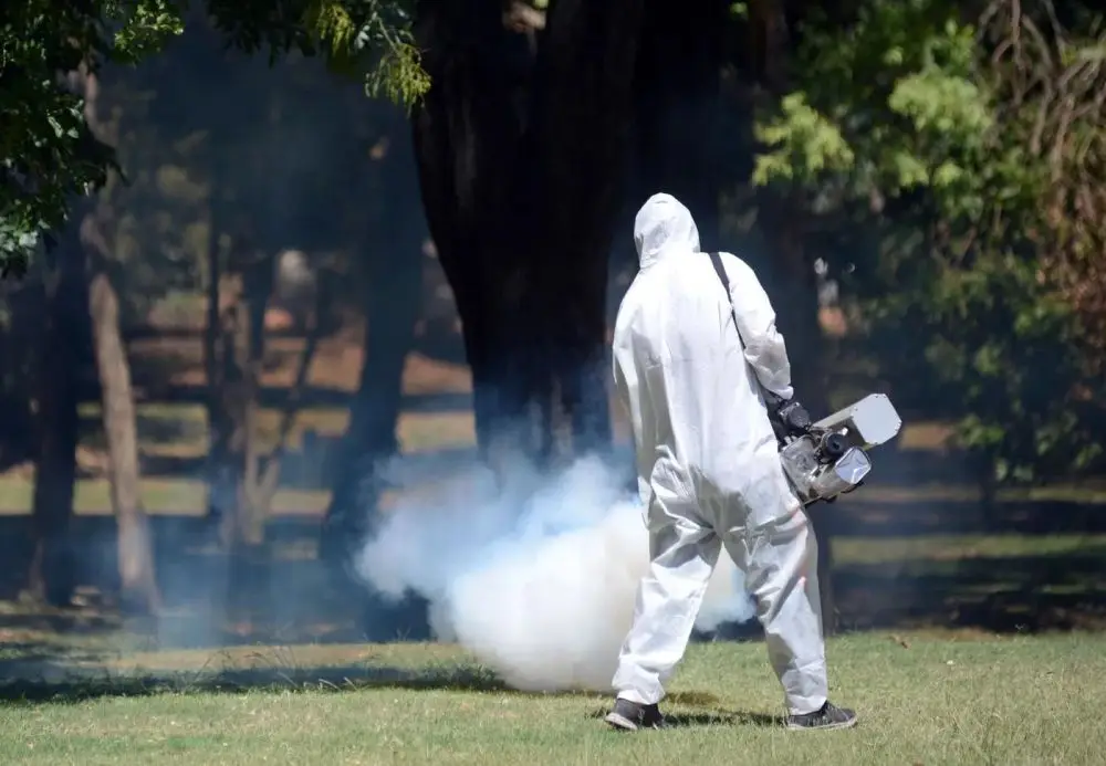 Uno por uno, los siete barrios de La Plata que fumigarán este lunes ante el avance del dengue