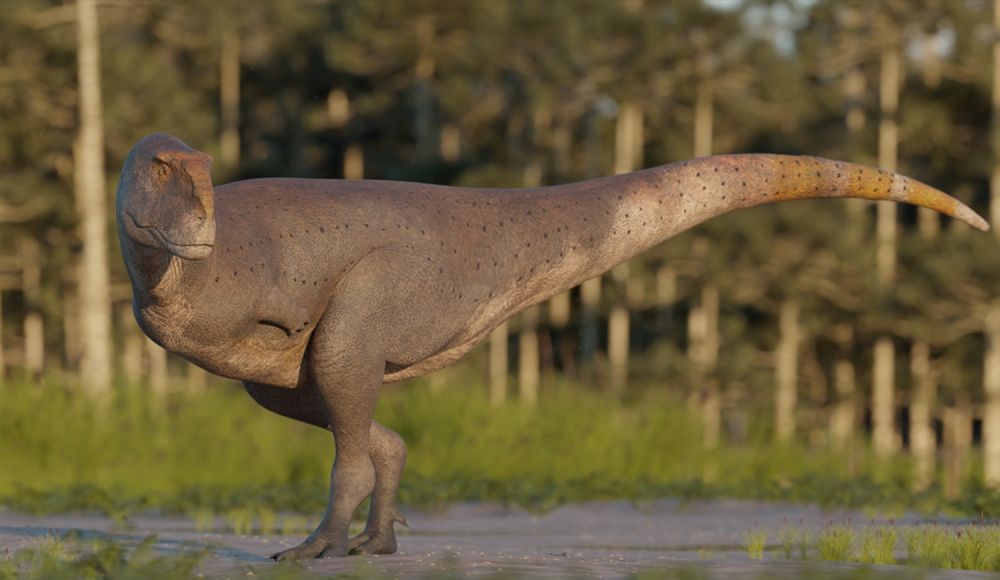 Descubrieron una nueva especie de dinosaurio carnívoro en Chubut