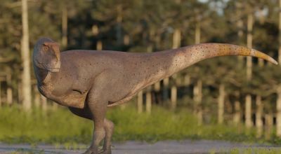 Descubrieron una nueva especie de dinosaurio carnívoro en Chubut