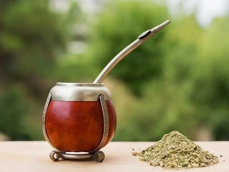 Científicos argentinos descifraron el genoma de la yerba mate