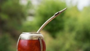 Científicos argentinos descifraron el genoma de la yerba mate